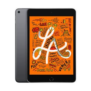 Apple iPad Mini 5 7.9" (A2133) 64GB SpaceGray MUQW2TY/A WiFi Retina Grigio Siderale [Grade B]